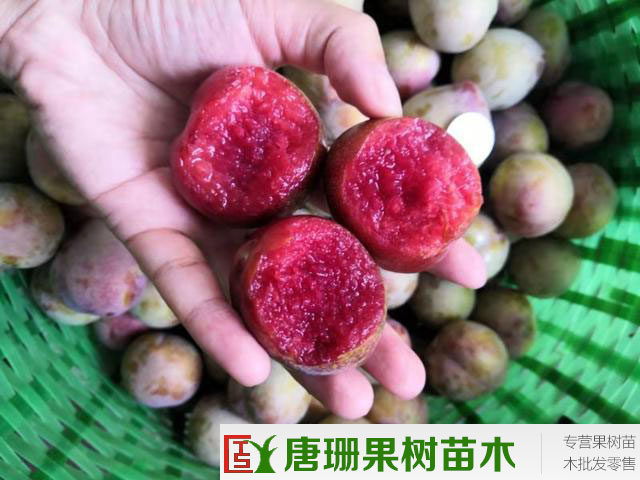 29日德甲推荐:云达不莱梅VS多特蒙德【开云电竞官方网站】(图1) 开云电竞官方网站