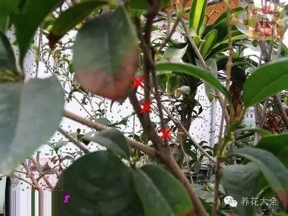开云电竞-TPP是什么意思TPP协议成员国?九个问题看懂TPP(图1) 开云电竞官网