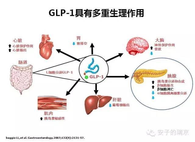 日本计划放宽无人机监管,只因送快递人手不足:开云电竞(图1) 开云电竞官网